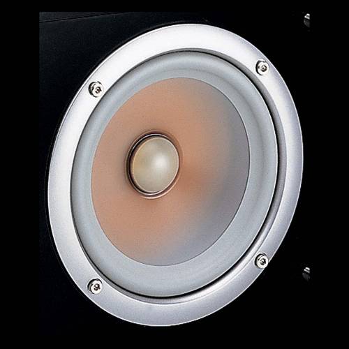 Buy Yamaha NS-C444 2-Way Center Channel Speaker Online in India at