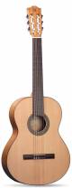 Alhambra 2F Flamenco Classical Guitar With Bag image 