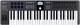 Arturia KeyLab 49 mk3 Black + V Collection 11 Pro Software Bundle  image 