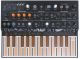 Arturia Microfreak Hybrid Synth 25 Keys Synthesizer image 