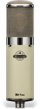 Avantone BV-1 mkII Large-diaphragm Tube Condenser Microphone image 