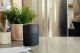 Bose Home Speaker 300 With Alexa Bluetooth Speaker image 