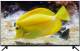 Bpl 127 Cm (50 Inch) ultra Hd 4k Android Smart tv With Dolby Surround Sound technology image 