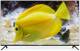 Bpl 139.7 Cm (55 Inch) ultra Hd (4k) Led Android Smart tv image 