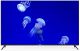 Bpl 165.1 Cm (65 Inch) ultra Hd (4k) Led Android Smart tv image 