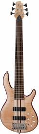 Cort A6 Plus FMMH OPN 6-String Bass Guitar image 