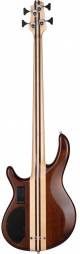 Cort A6 Plus FMMH OPN 6-String Bass Guitar image 