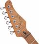 Cort G250-SE OBG Electric Guitar  image 