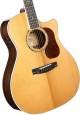 Cort Gold-A8 Gold Series Electro-Acoustic Guitar image 