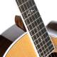 Cort Gold-A8 Gold Series Electro-Acoustic Guitar image 