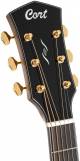 Cort Gold-DC6 Gold Series Electro Acoustic Guitar image 