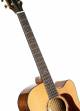 Cort Gold-DC6 Gold Series Electro Acoustic Guitar image 