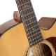 Cort Gold-DC6 Gold Series Electro Acoustic Guitar image 