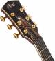 Cort Little Forest Angel Limited Edition Electro Acoustic Guitar  image 