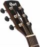 Cort SFX-Myrtlewood 6-Strings Electro-Acoustic Guitar  image 