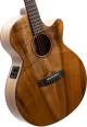 Cort SFX-Myrtlewood 6-Strings Electro-Acoustic Guitar  image 