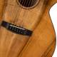 Cort SFX-Myrtlewood 6-Strings Electro-Acoustic Guitar  image 