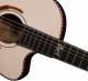 Cort Sol encanto Nylon String Electro Classical Guitar image 