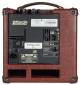 DV Mark 801P Acoustic Guitar Amplifier image 