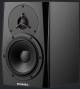 Dynaudio Lyd 5 Speaker With Nearfield Monitr With 5 Woofer Bi-amped Speaker image 