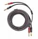Elac LS CABLE SPW 1O FT  1O FT PAIR 3 M Sensible Speaker Wires image 