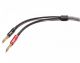 Elac LS CABLE SPW 1O FT  1O FT PAIR 3 M Sensible Speaker Wires image 