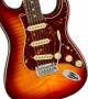 Fender 70th Anniversary American Professional II Stratocaster Electric Guitar image 