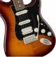 Fender Player Stratocaster HSS Plus Top Maple Fingerboard Limited-Edition Electric Guitar image 