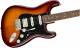 Fender Player Stratocaster HSS Plus Top Maple Fingerboard Limited-Edition Electric Guitar image 