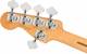 Fender Player Plus Jazz Bass V Pau Ferro Fingerboard 5-String Bass Guitar image 