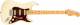 Fender American Professional II Stratocaster HSS Electric Guitar image 