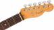 Fender American Professional II Telecaster Rosewood Fingerboard Electric Guitar With Case image 