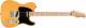Fender Squier Affinity Telecaster Indian Laurel Fingerboard Electric Guitar image 