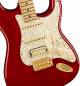 Fender Tash Sultana Stratocaster Electric Guitar  image 