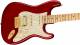 Fender Tash Sultana Stratocaster Electric Guitar  image 