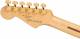 Fender Tash Sultana Stratocaster Electric Guitar  image 
