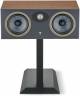 Focal Theva Center, Center speaker image 