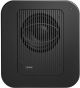 Genelec 7370A Studio Subwoofer image 