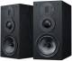 HiVi-Swans DIY 3 Way Passive Bookshelf Speakers Pair image 