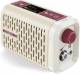 Hotone Pulze Mini AP-5WH Bluetooth Modeling Amplifier image 