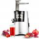 Hurom H-aa Series Cold Press Slow Juicer image 