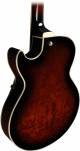 Ibanez AG95QA Artcore Expressionist Series Hollow-Body Electric Guitar image 