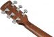 Ibanez AW65ECE-LG Artwood Traditional Series Electro Acoustic Guitar image 