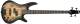 Ibanez GSR200SM NGT 4-String Bass Guitar  image 