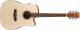 Ibanez PF10CE PF Performance Series Electro Acoustic Guitar image 