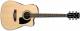 Ibanez PF Performance Series PF15ECENT Performance Dreadnought Electro Acoustic Guitar image 