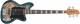 Ibanez TMB405TA Talman Series 5 String Electric Bass Guitar image 