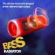 Jbl Flip 5 Waterproof Bluetooth Speaker With Party Boost image 
