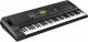 Korg EK-50 61-Key Entertainer Arranger Keyboard image 