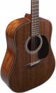 Martin D-19 190th Anniversary Acoustic Guitar image 